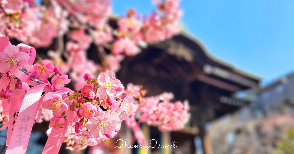 花蓮海景餐廳【海明漾泰式料理景觀餐廳】台11線最美海景餐廳，海景打卡造景超好拍 @兔兒毛毛姊妹花