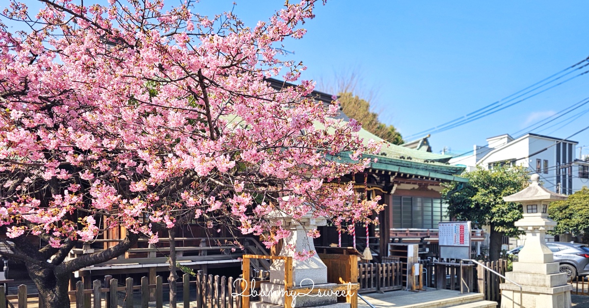 台北士林【至善園】故宮旁古色古香賞花、餵魚好地方!! 入園、停車都免費～ @兔兒毛毛姊妹花