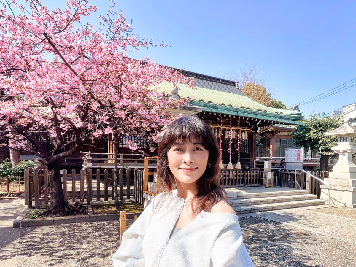 【新宿下落合冰川神社】東京河津櫻景點推薦，不輸櫻神宮的隱藏版秘境櫻花神社 @兔兒毛毛姊妹花