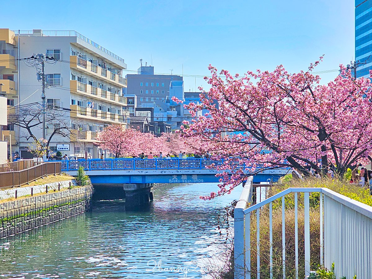 【大橫川散步道】東京河津櫻景點推薦：木場公園旁滿開櫻花步道，東京2月賞櫻推薦早櫻秘境 @兔兒毛毛姊妹花