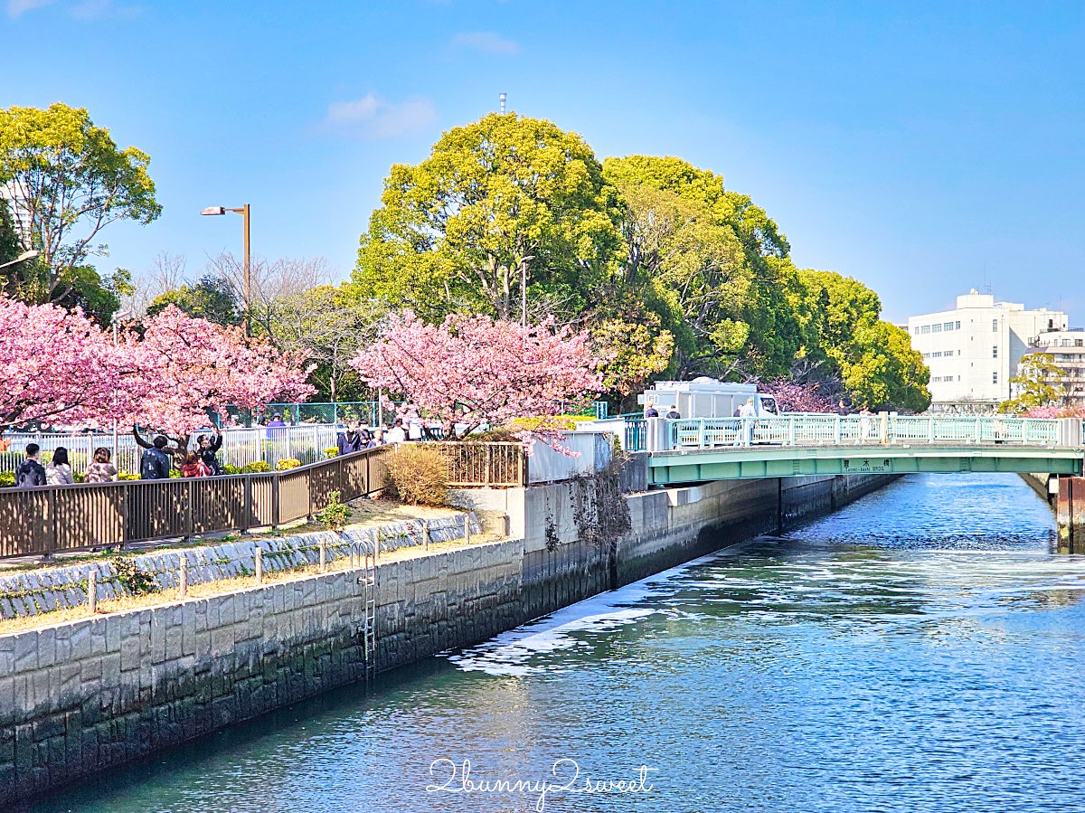 【大橫川散步道】東京河津櫻景點推薦:木場公園旁滿開櫻花步道,東京2月賞櫻推薦早櫻秘境 @兔兒毛毛姊妹花 【大橫川散步道】東京河津櫻景點推薦:木場公園旁滿開櫻花步道,東京2月賞櫻推薦早櫻秘境 @兔兒毛毛姊妹花