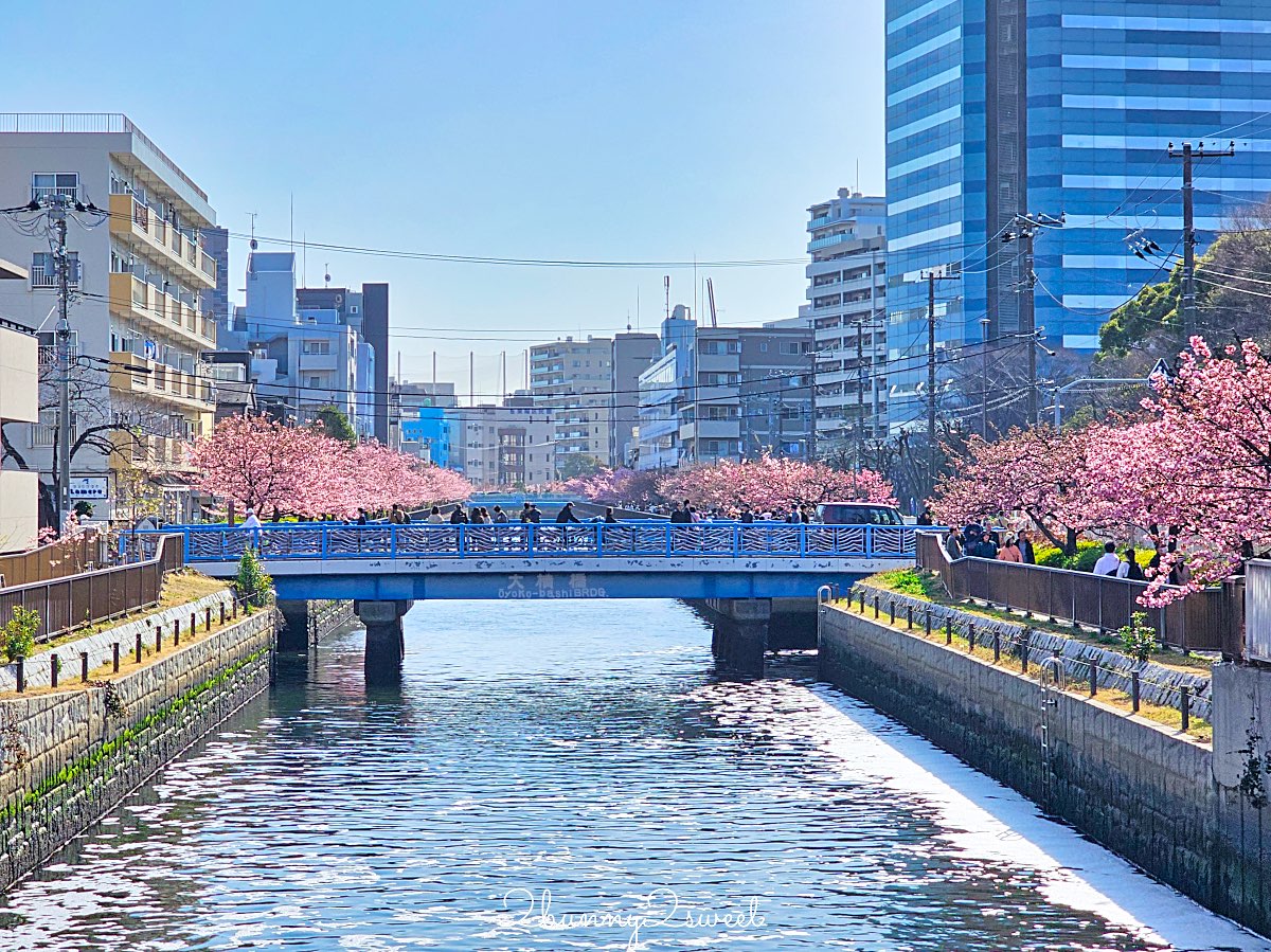 【大橫川散步道】東京河津櫻景點推薦:木場公園旁滿開櫻花步道,東京2月賞櫻推薦早櫻秘境 @兔兒毛毛姊妹花 【大橫川散步道】東京河津櫻景點推薦:木場公園旁滿開櫻花步道,東京2月賞櫻推薦早櫻秘境 @兔兒毛毛姊妹花