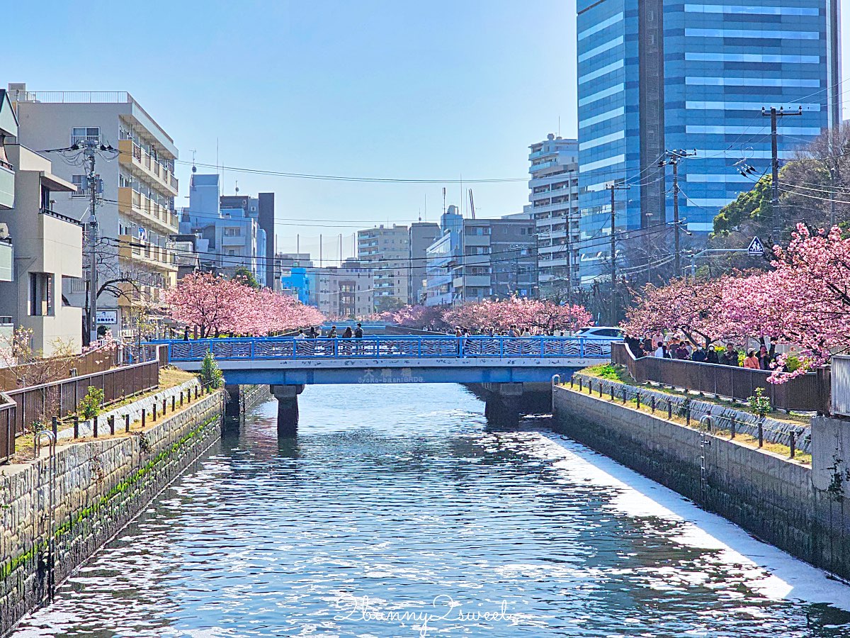 【大橫川散步道】東京河津櫻景點推薦:木場公園旁滿開櫻花步道,東京2月賞櫻推薦早櫻秘境 @兔兒毛毛姊妹花 【大橫川散步道】東京河津櫻景點推薦:木場公園旁滿開櫻花步道,東京2月賞櫻推薦早櫻秘境 @兔兒毛毛姊妹花