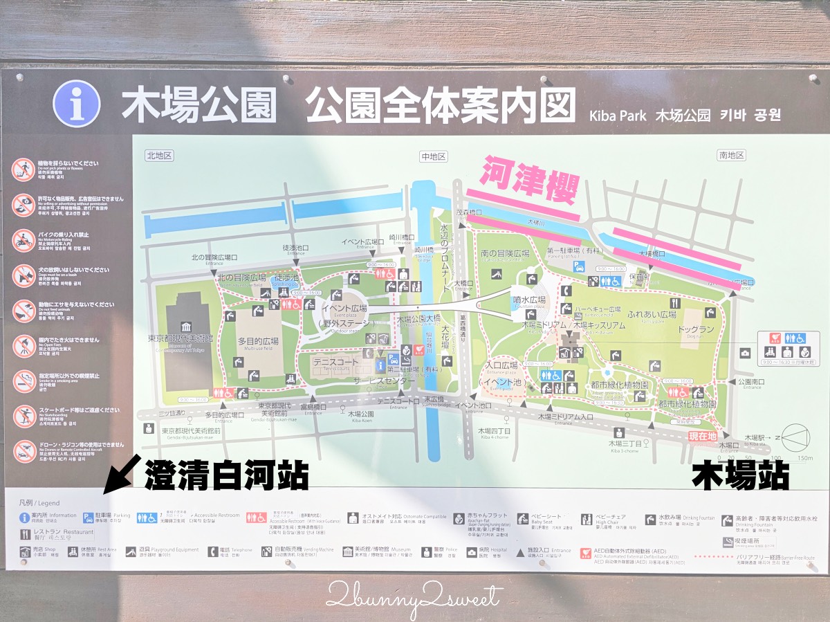 【大橫川散步道】東京河津櫻景點推薦:木場公園旁滿開櫻花步道,東京2月賞櫻推薦早櫻秘境 @兔兒毛毛姊妹花 【大橫川散步道】東京河津櫻景點推薦:木場公園旁滿開櫻花步道,東京2月賞櫻推薦早櫻秘境 @兔兒毛毛姊妹花