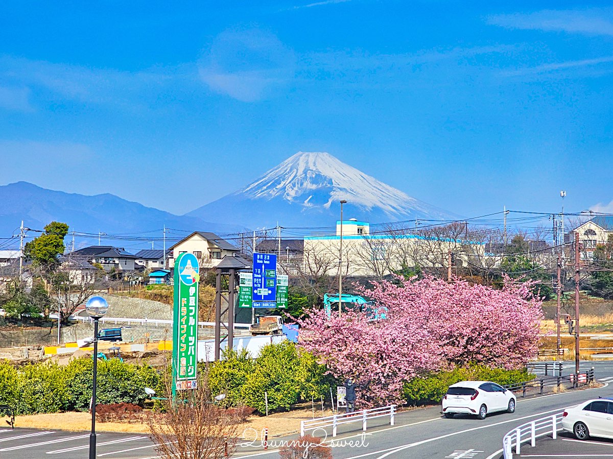【伊豆水果公園】自採草莓吃到飽、富士山景餐廳與伴手禮商店完整攻略 @兔兒毛毛姊妹花