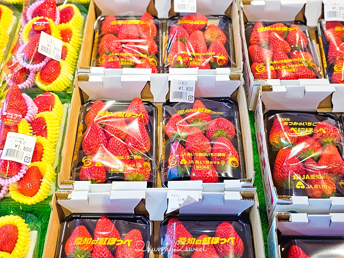 【伊豆水果公園】自採草莓吃到飽、富士山景餐廳與伴手禮商店完整攻略 @兔兒毛毛姊妹花