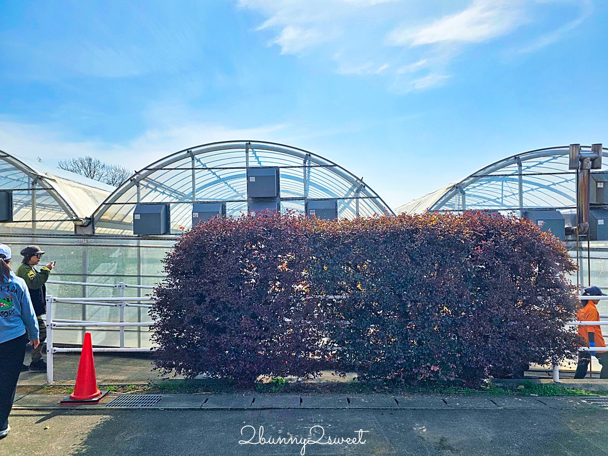 【伊豆水果公園】自採草莓吃到飽、富士山景餐廳與伴手禮商店完整攻略 @兔兒毛毛姊妹花