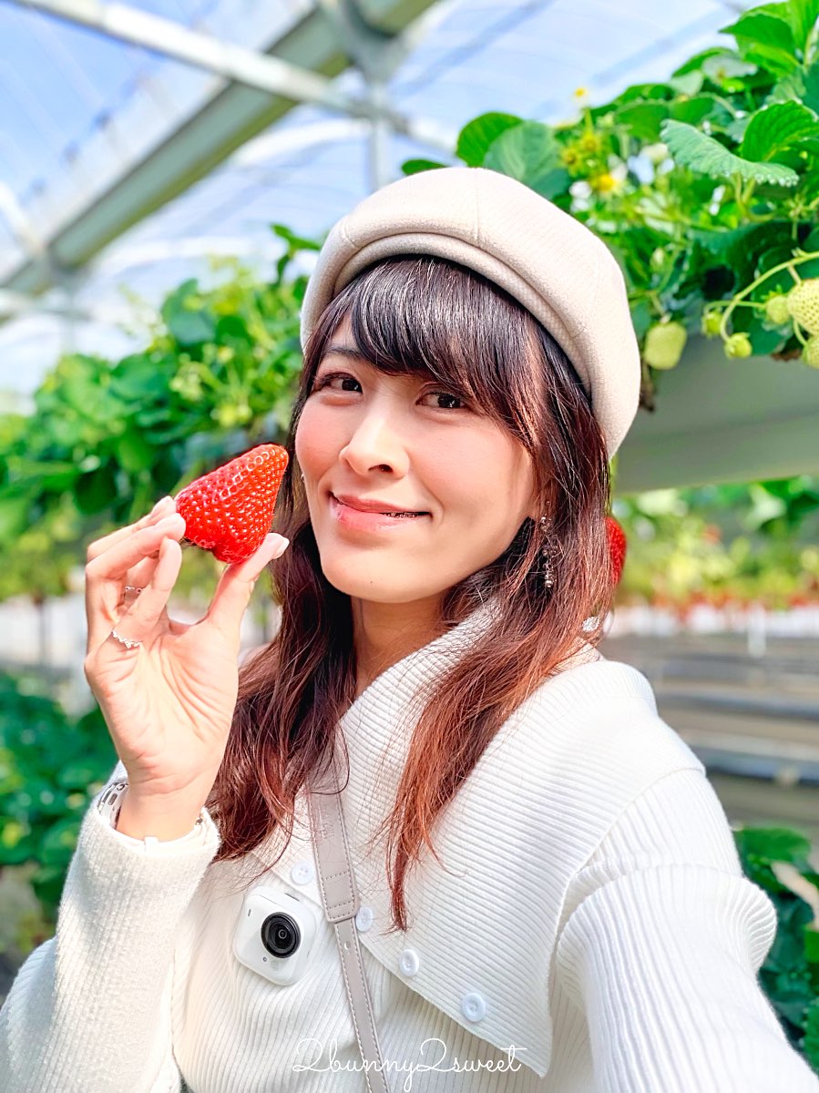 【伊豆水果公園】自採草莓吃到飽、富士山景餐廳與伴手禮商店完整攻略 @兔兒毛毛姊妹花