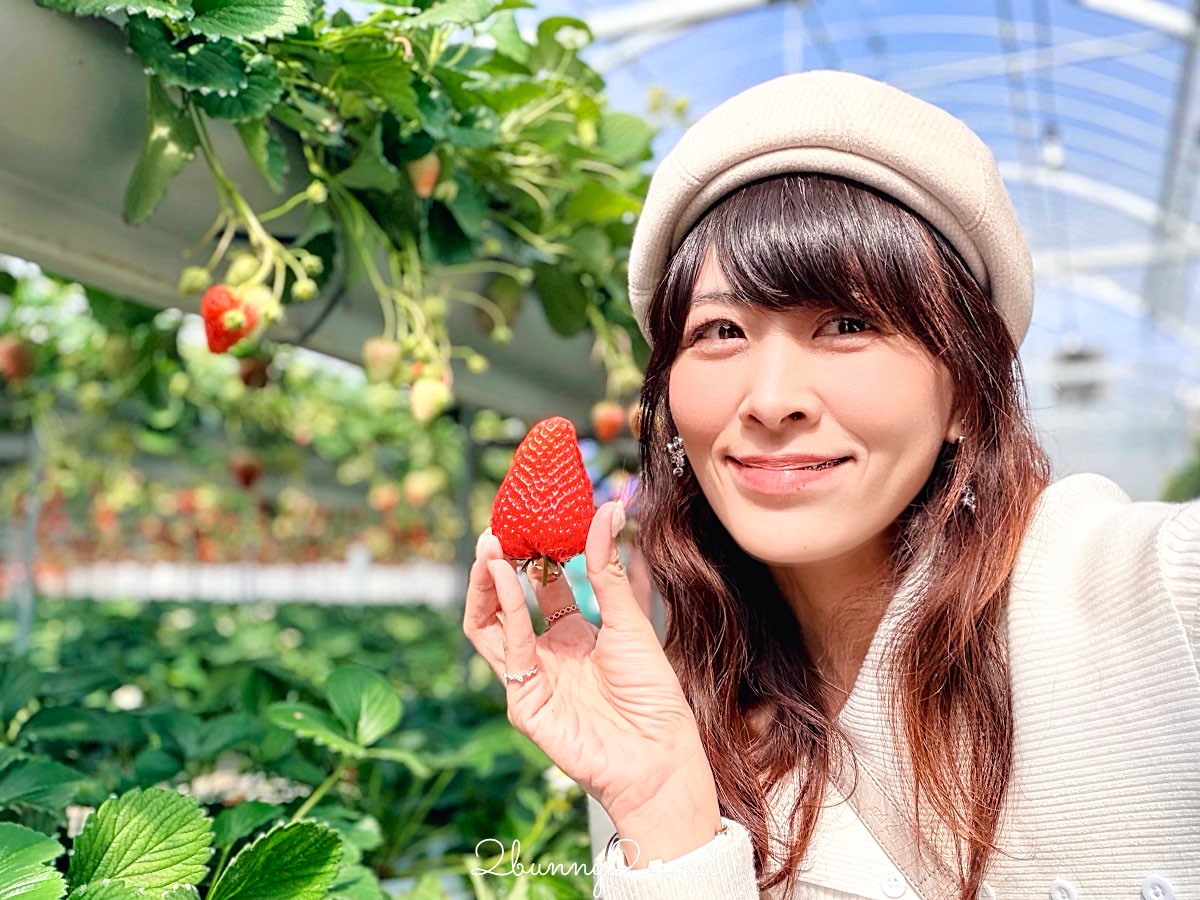 【伊豆水果公園】自採草莓吃到飽、富士山景餐廳與伴手禮商店完整攻略 @兔兒毛毛姊妹花