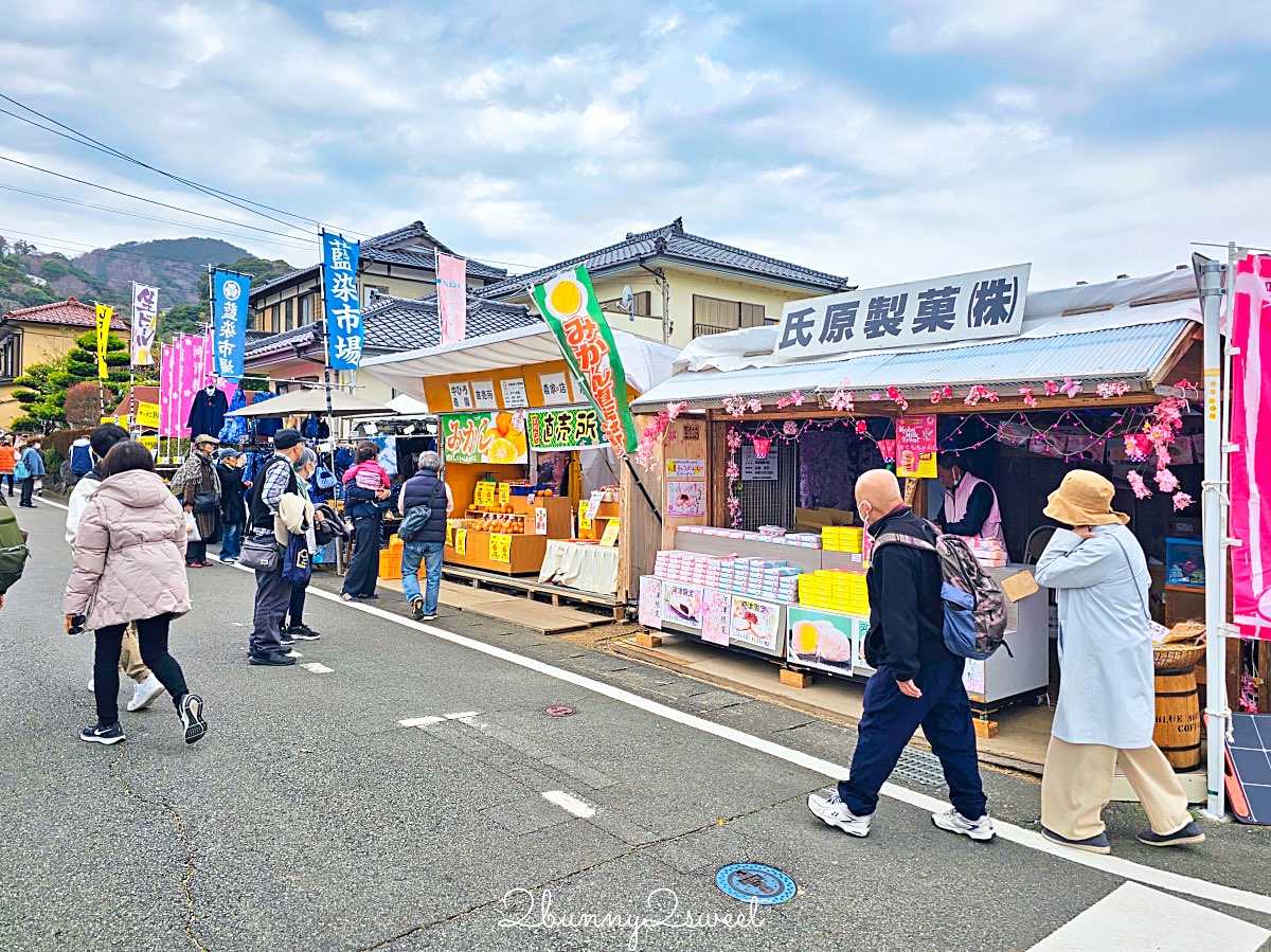 【靜岡伊豆河津町賞櫻】河津櫻花祭攻略：最佳賞花時間、河津川4公里櫻花並木、交通方式 @兔兒毛毛姊妹花