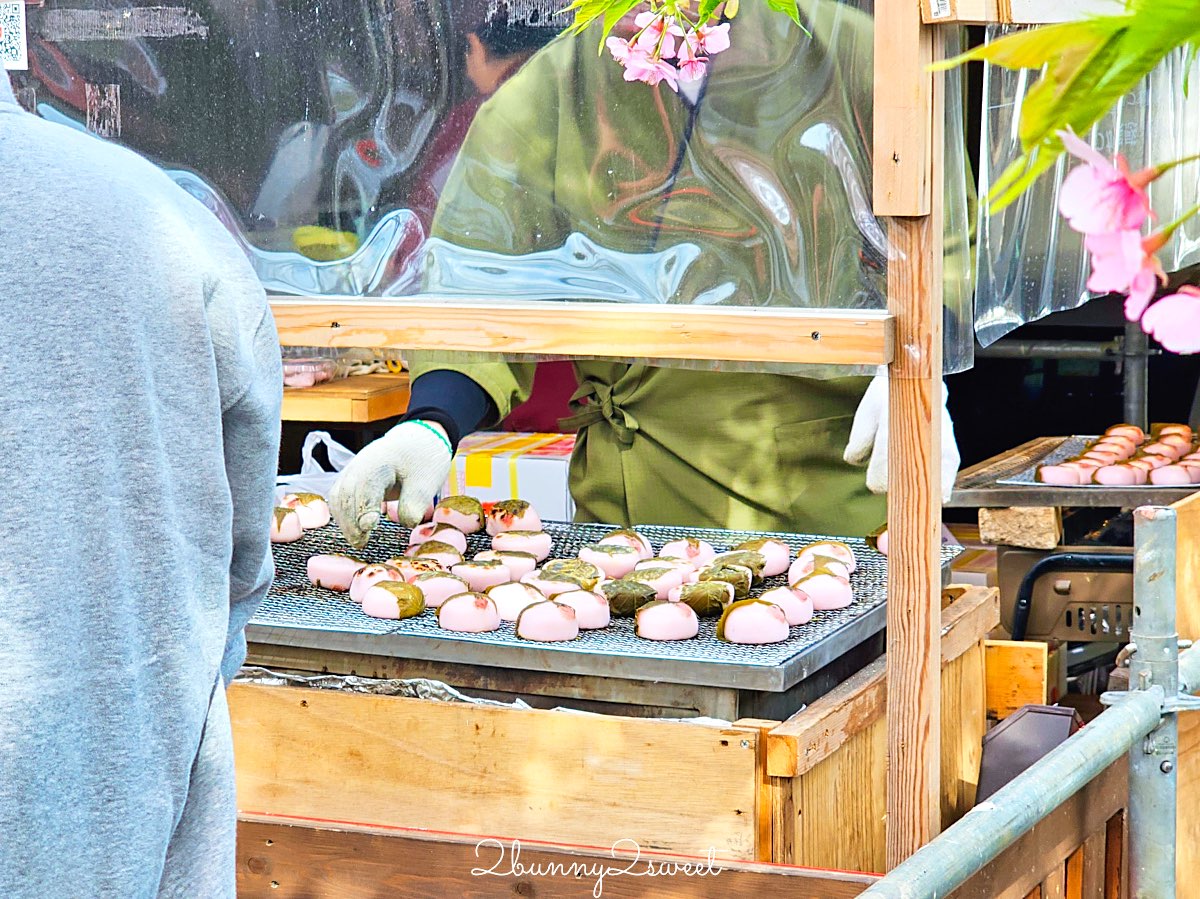 【靜岡伊豆河津町賞櫻】河津櫻花祭攻略：最佳賞花時間、河津川4公里櫻花並木、交通方式 @兔兒毛毛姊妹花