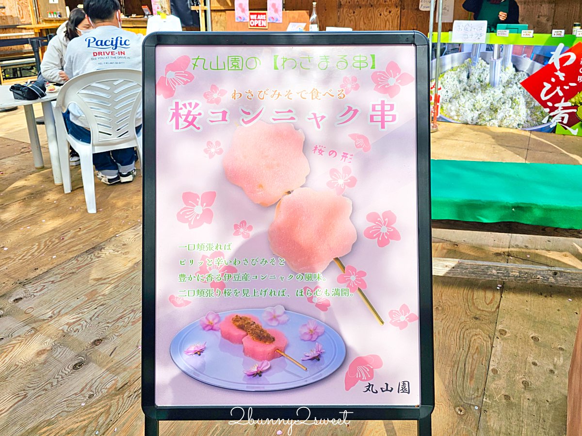 【靜岡伊豆河津町賞櫻】河津櫻花祭攻略：最佳賞花時間、河津川4公里櫻花並木、交通方式 @兔兒毛毛姊妹花