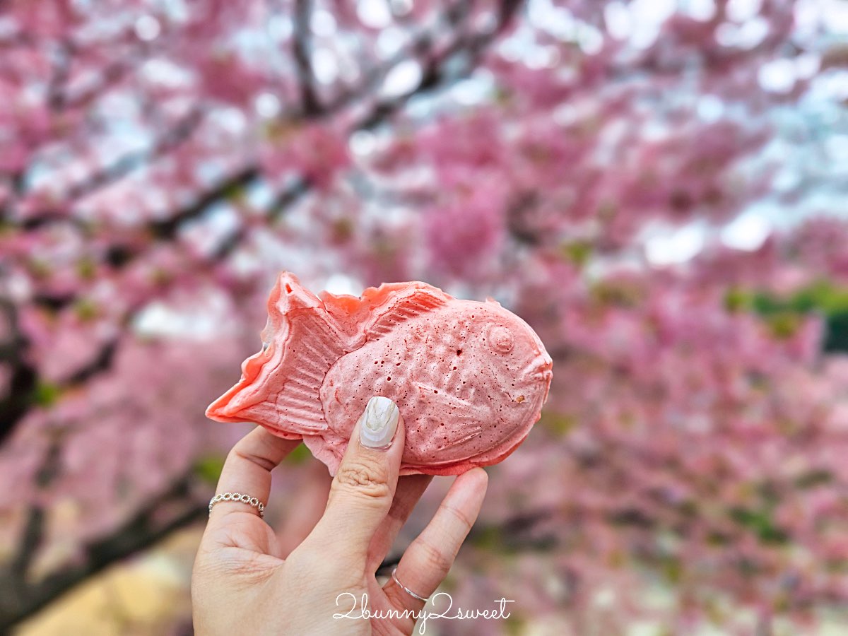 【靜岡伊豆河津町賞櫻】河津櫻花祭攻略：最佳賞花時間、河津川4公里櫻花並木、交通方式 @兔兒毛毛姊妹花