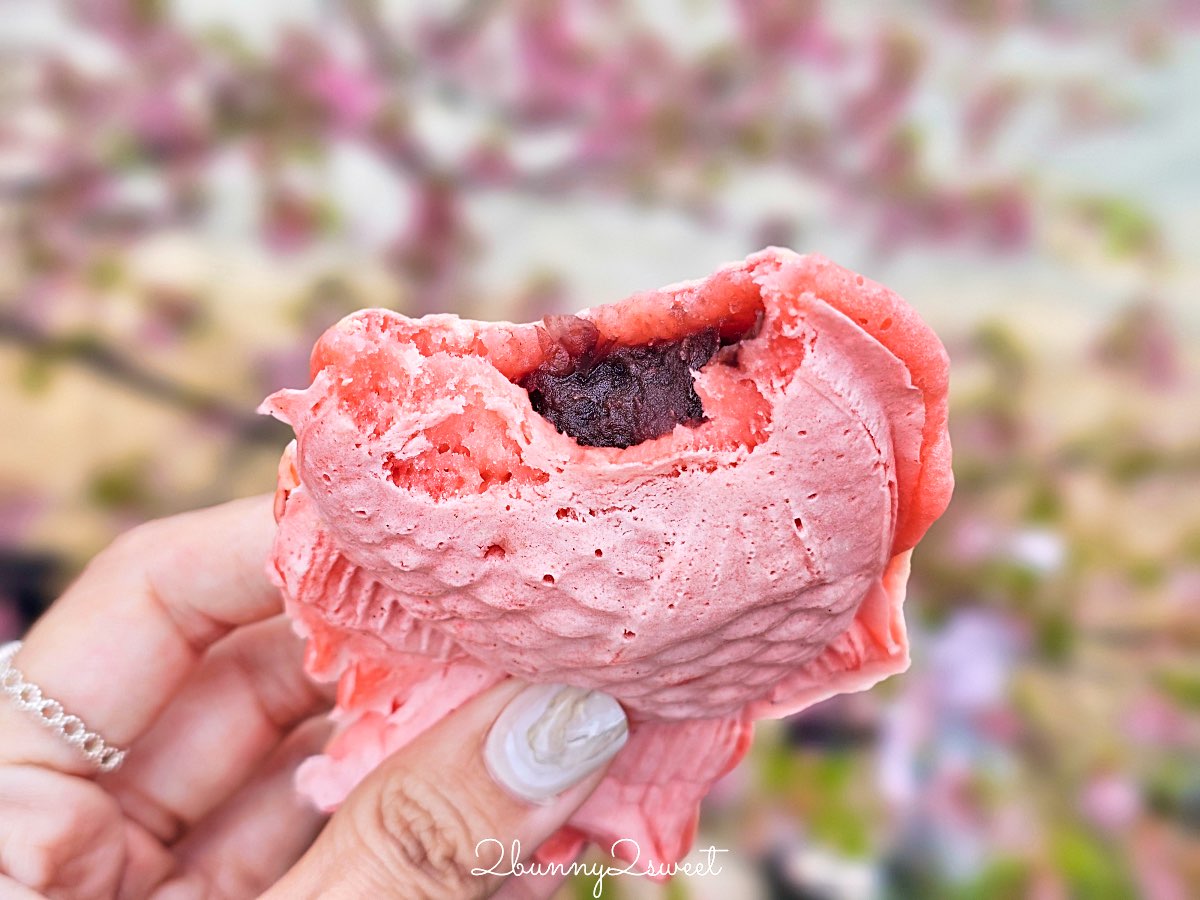 【靜岡伊豆河津町賞櫻】河津櫻花祭攻略：最佳賞花時間、河津川4公里櫻花並木、交通方式 @兔兒毛毛姊妹花