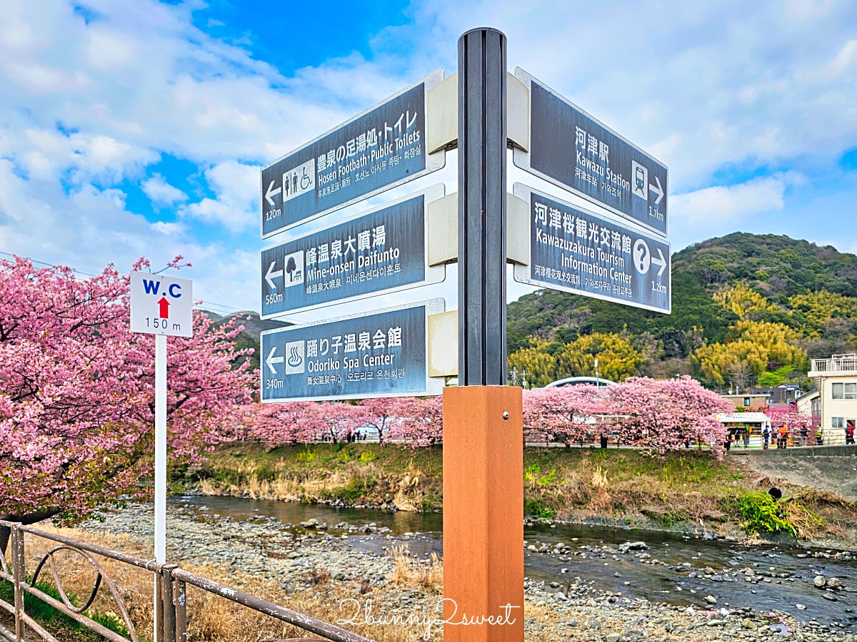 【靜岡伊豆河津町賞櫻】河津櫻花祭攻略：最佳賞花時間、河津川4公里櫻花並木、交通方式 @兔兒毛毛姊妹花