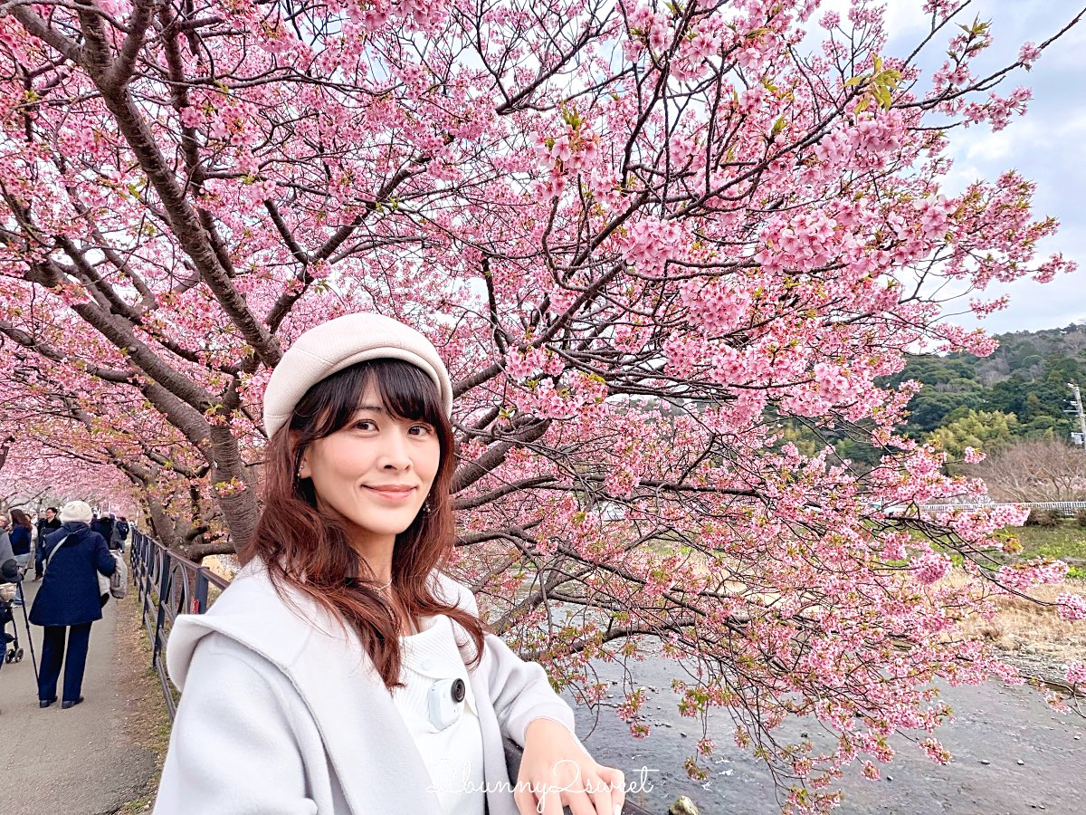 【靜岡伊豆河津町賞櫻】河津櫻花祭攻略：最佳賞花時間、河津川4公里櫻花並木、交通方式 @兔兒毛毛姊妹花