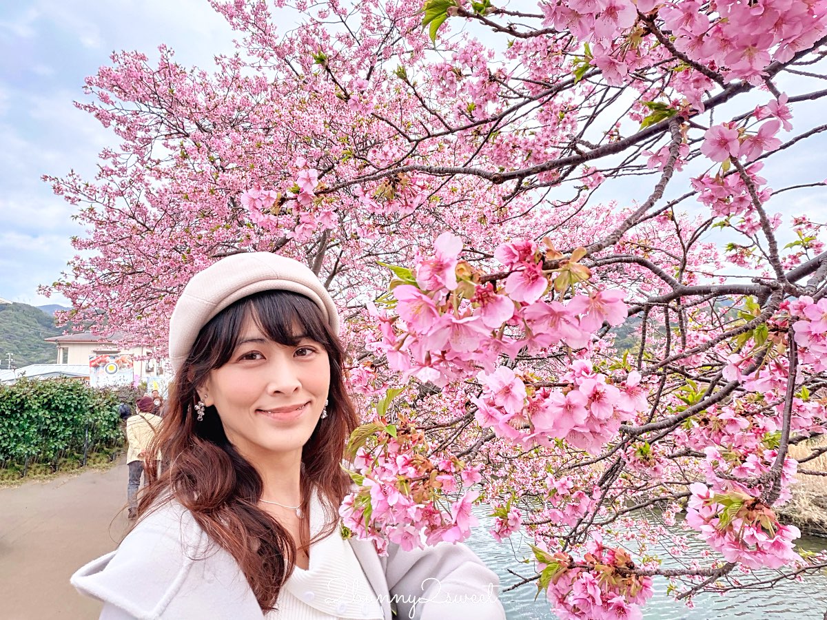 【靜岡伊豆河津町賞櫻】河津櫻花祭攻略：最佳賞花時間、河津川4公里櫻花並木、交通方式 @兔兒毛毛姊妹花
