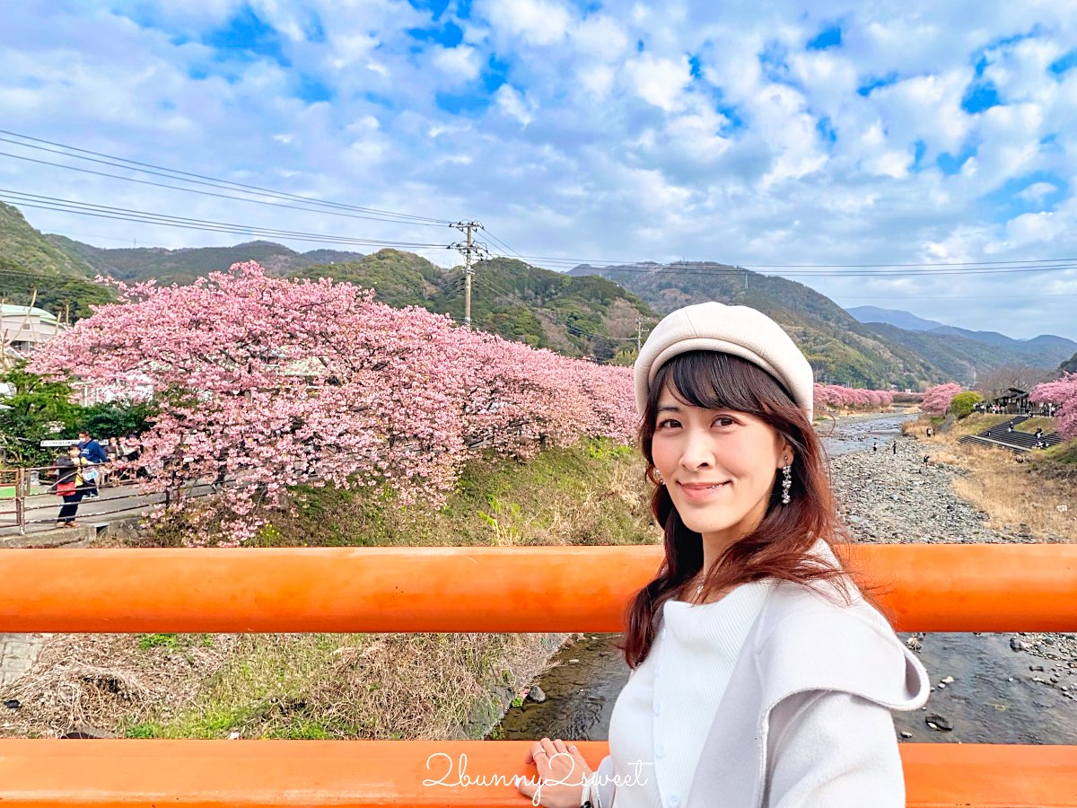 【靜岡伊豆河津町賞櫻】河津櫻花祭攻略：最佳賞花時間、河津川4公里櫻花並木、交通方式 @兔兒毛毛姊妹花