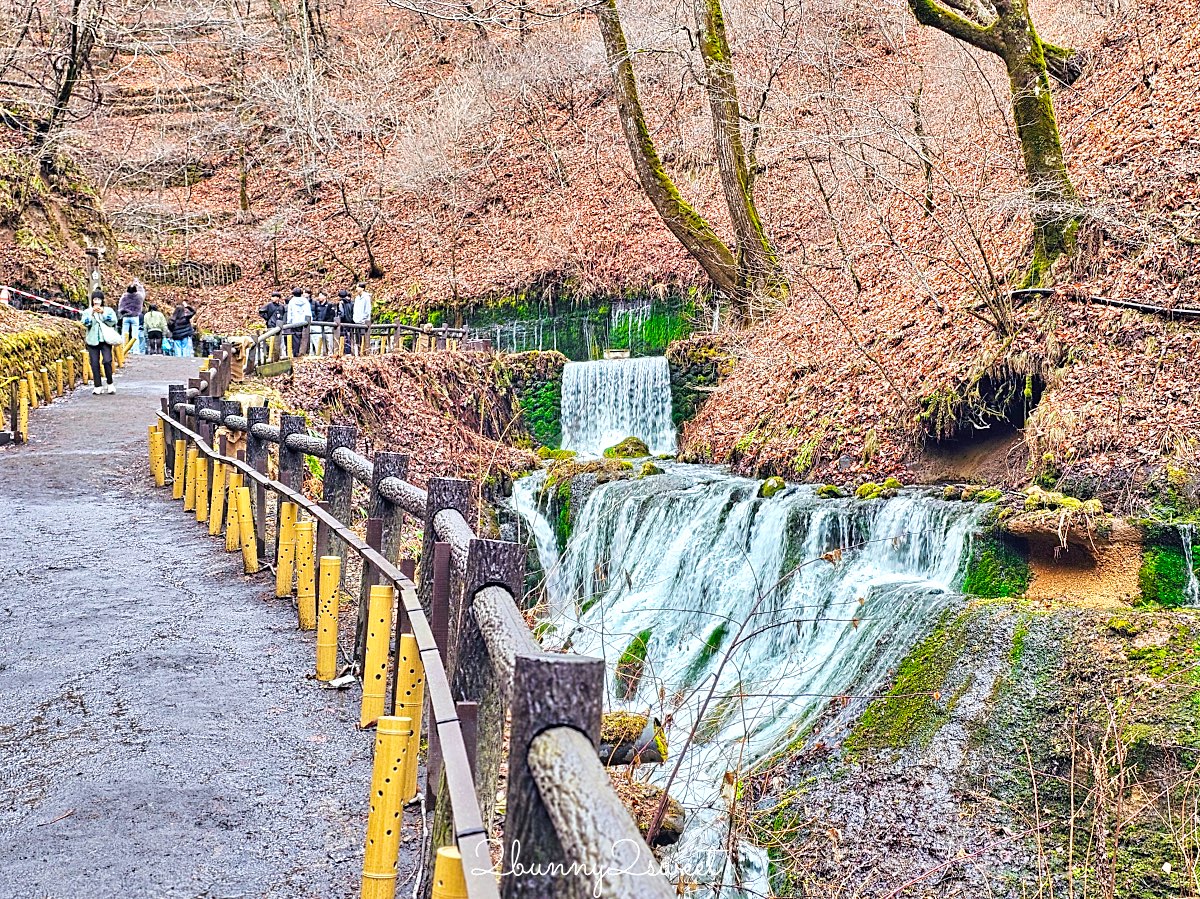 【輕井澤一日遊攻略】東京出發專車輕鬆玩白系瀑布、雲場池、舊輕井澤銀座、王子OUTLET @兔兒毛毛姊妹花