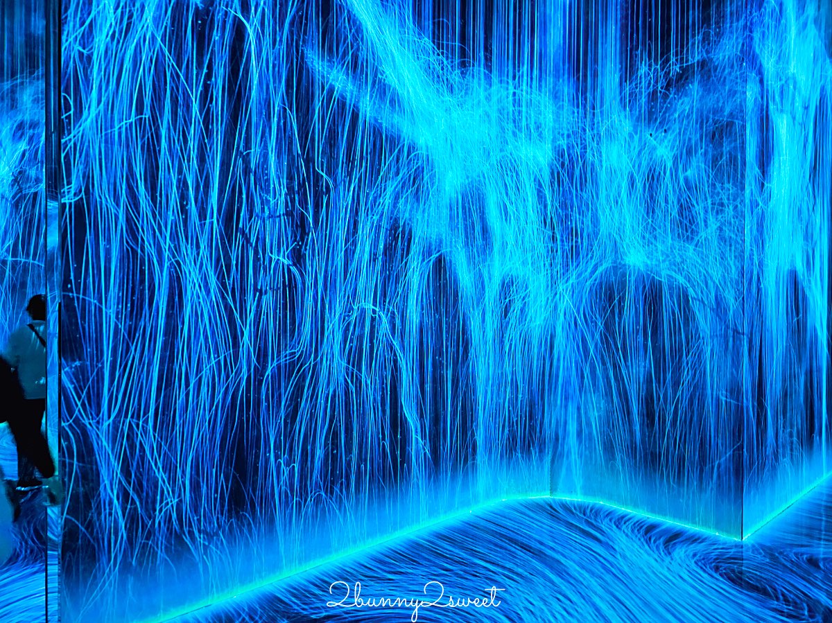 【teamLab Biovortex Kyoto】京都最新沈浸式互動展覽攻略：門票、展區、拍照重點整理 @兔兒毛毛姊妹花