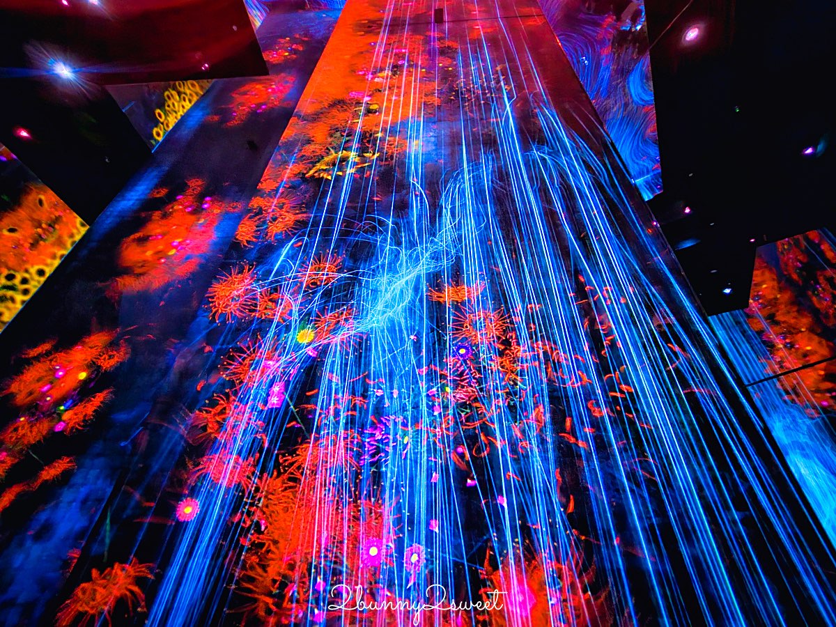 【teamLab Biovortex Kyoto】京都最新沈浸式互動展覽攻略：門票、展區、拍照重點整理 @兔兒毛毛姊妹花