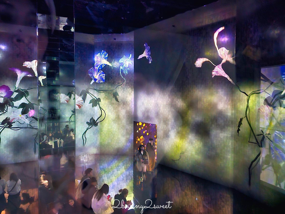 【teamLab Biovortex Kyoto】京都最新沈浸式互動展覽攻略：門票、展區、拍照重點整理 @兔兒毛毛姊妹花