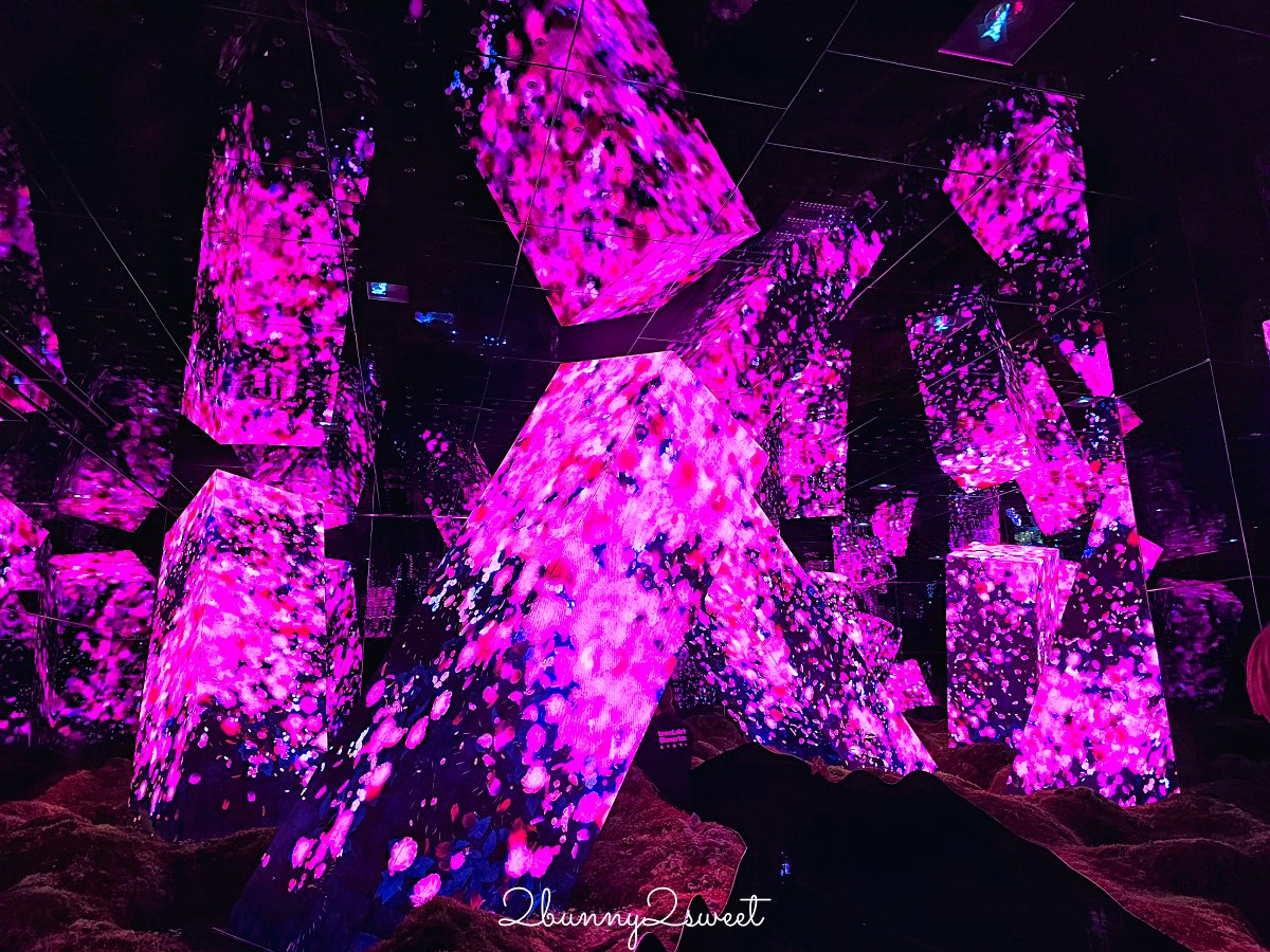 【teamLab Biovortex Kyoto】京都最新沈浸式互動展覽攻略：門票、展區、拍照重點整理 @兔兒毛毛姊妹花