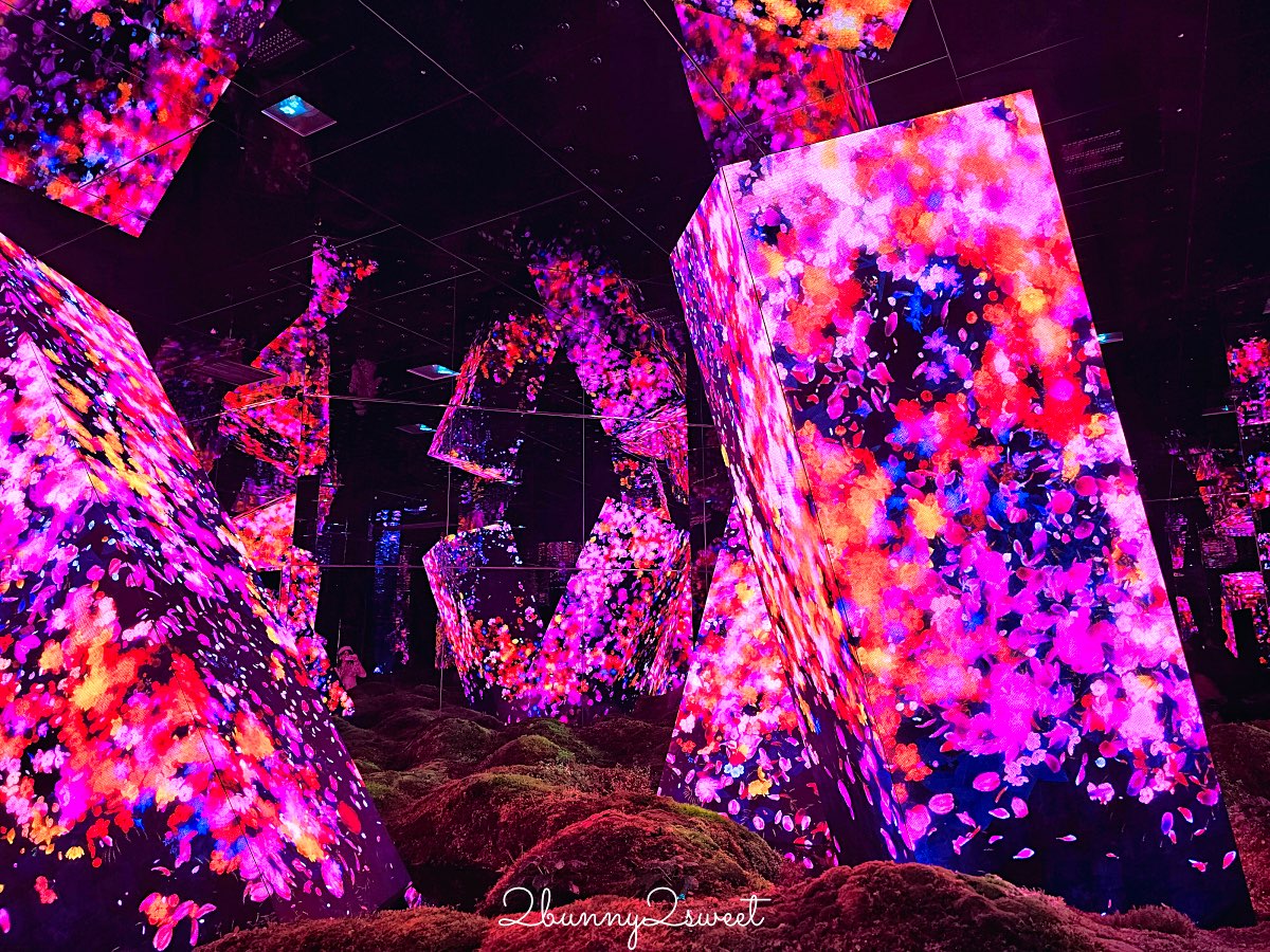 【teamLab Biovortex Kyoto】京都最新沈浸式互動展覽攻略：門票、展區、拍照重點整理 @兔兒毛毛姊妹花