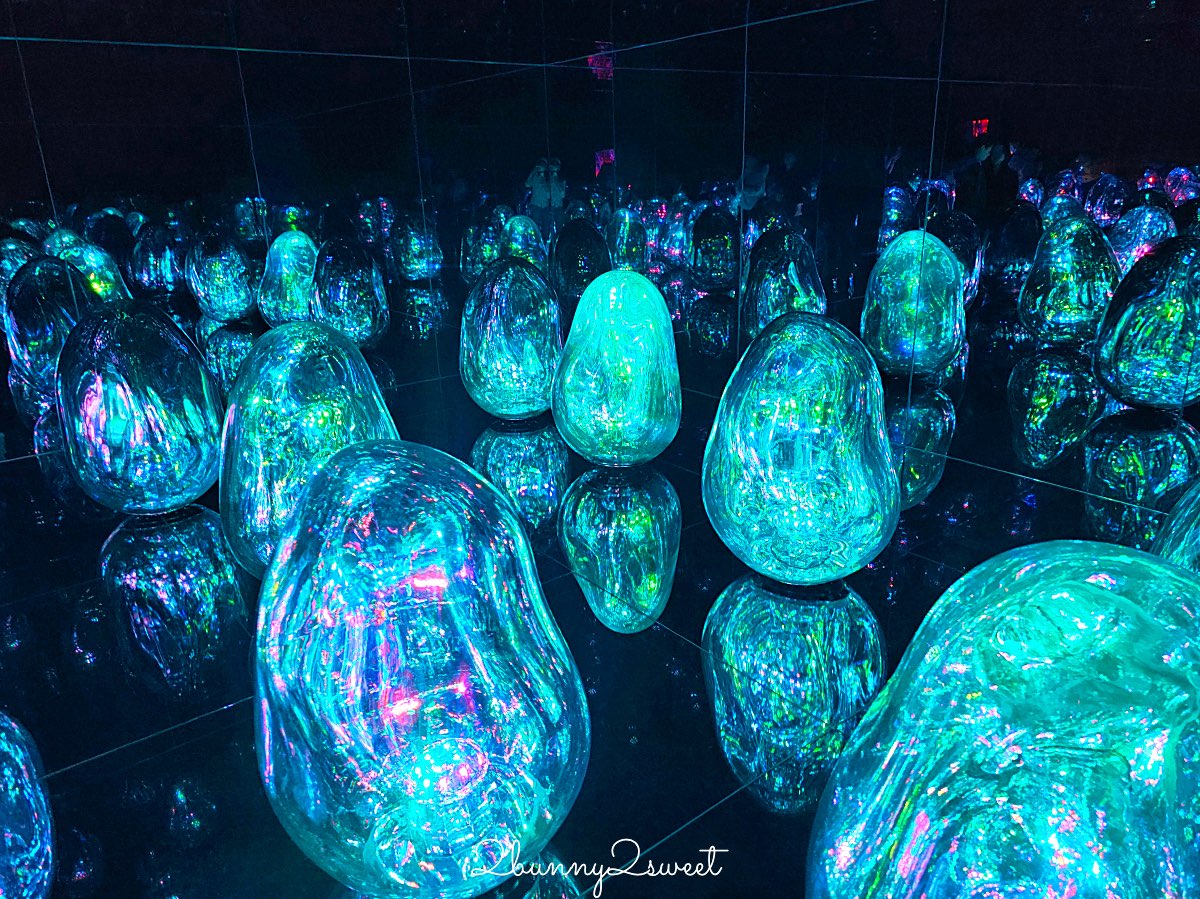 【teamLab Biovortex Kyoto】京都最新沈浸式互動展覽攻略：門票、展區、拍照重點整理 @兔兒毛毛姊妹花