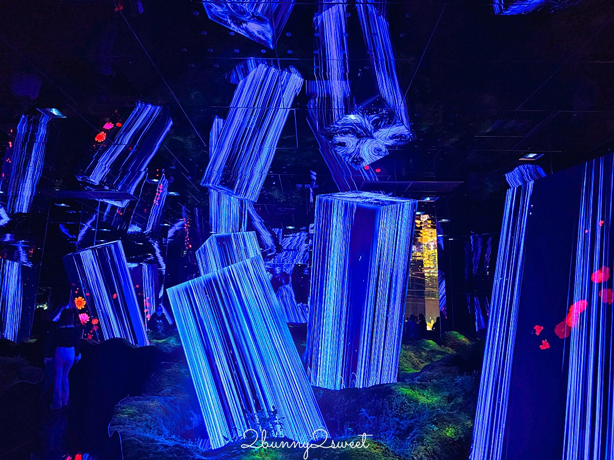 【teamLab Biovortex Kyoto】京都最新沈浸式互動展覽攻略：門票、展區、拍照重點整理 @兔兒毛毛姊妹花
