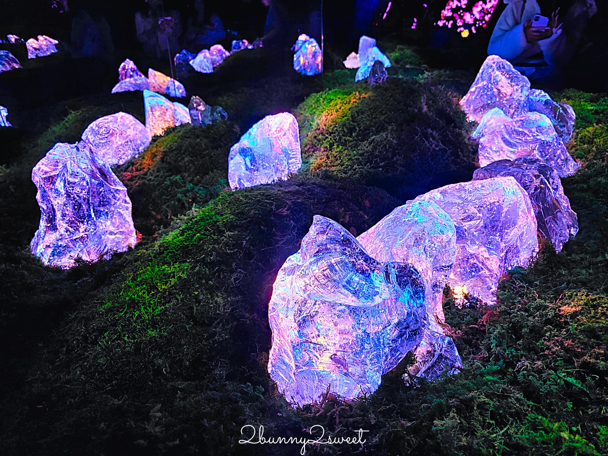 【teamLab Biovortex Kyoto】京都最新沈浸式互動展覽攻略：門票、展區、拍照重點整理 @兔兒毛毛姊妹花