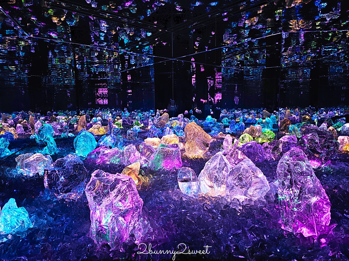 【teamLab Biovortex Kyoto】京都最新沈浸式互動展覽攻略：門票、展區、拍照重點整理 @兔兒毛毛姊妹花