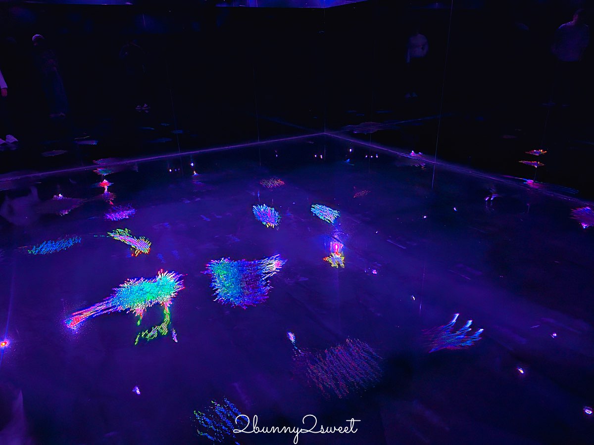 【teamLab Biovortex Kyoto】京都最新沈浸式互動展覽攻略：門票、展區、拍照重點整理 @兔兒毛毛姊妹花