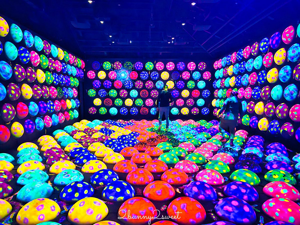 【teamLab Biovortex Kyoto】京都最新沈浸式互動展覽攻略：門票、展區、拍照重點整理 @兔兒毛毛姊妹花