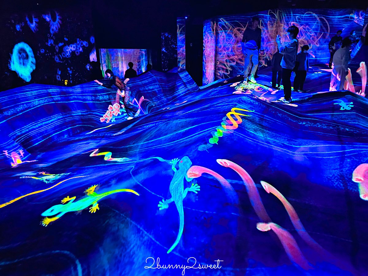 【teamLab Biovortex Kyoto】京都最新沈浸式互動展覽攻略：門票、展區、拍照重點整理 @兔兒毛毛姊妹花