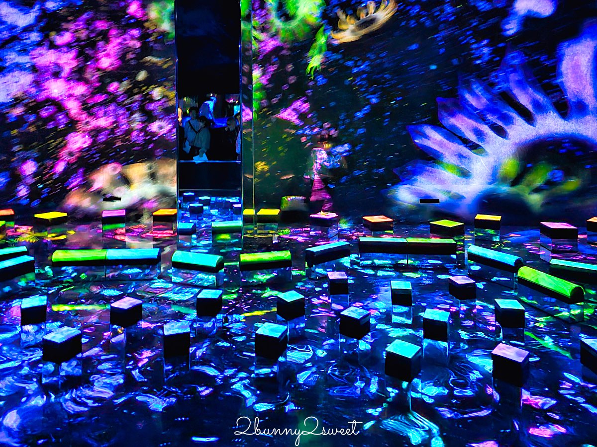 【teamLab Biovortex Kyoto】京都最新沈浸式互動展覽攻略：門票、展區、拍照重點整理 @兔兒毛毛姊妹花
