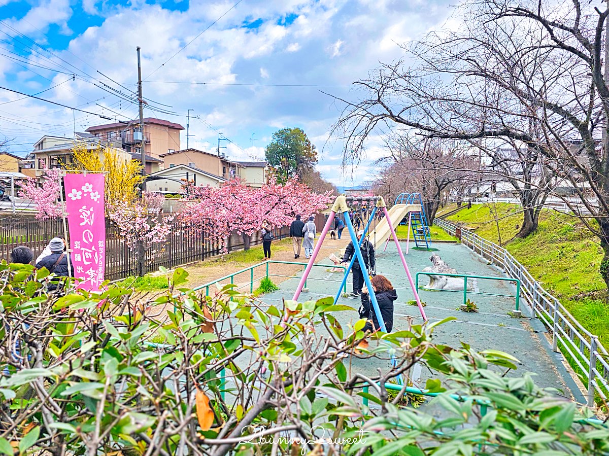 【京都淀水路河津櫻】淀之河津櫻賞櫻散步道，京都二月及三月初最早盛開的櫻花秘境 @兔兒毛毛姊妹花