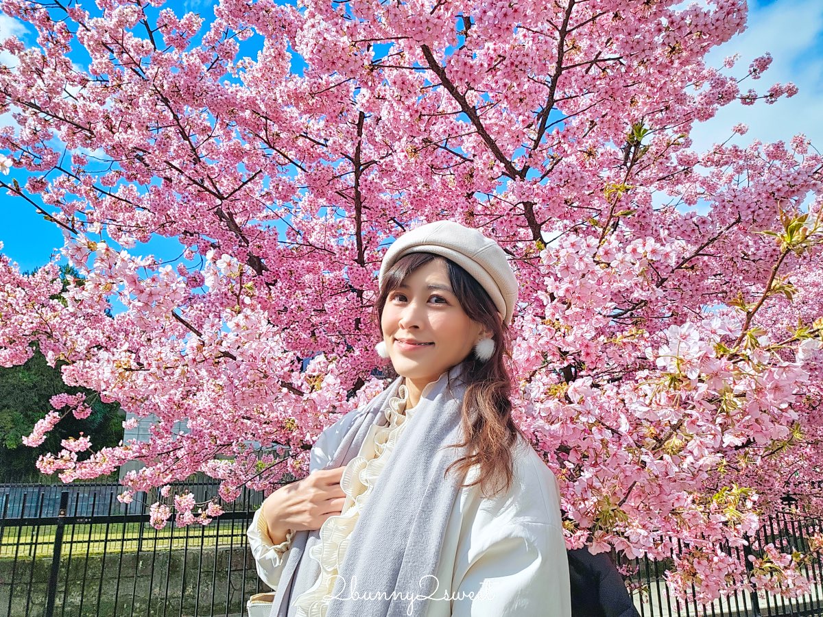 【京都淀水路河津櫻】淀之河津櫻賞櫻散步道，京都二月及三月初最早盛開的櫻花秘境 @兔兒毛毛姊妹花