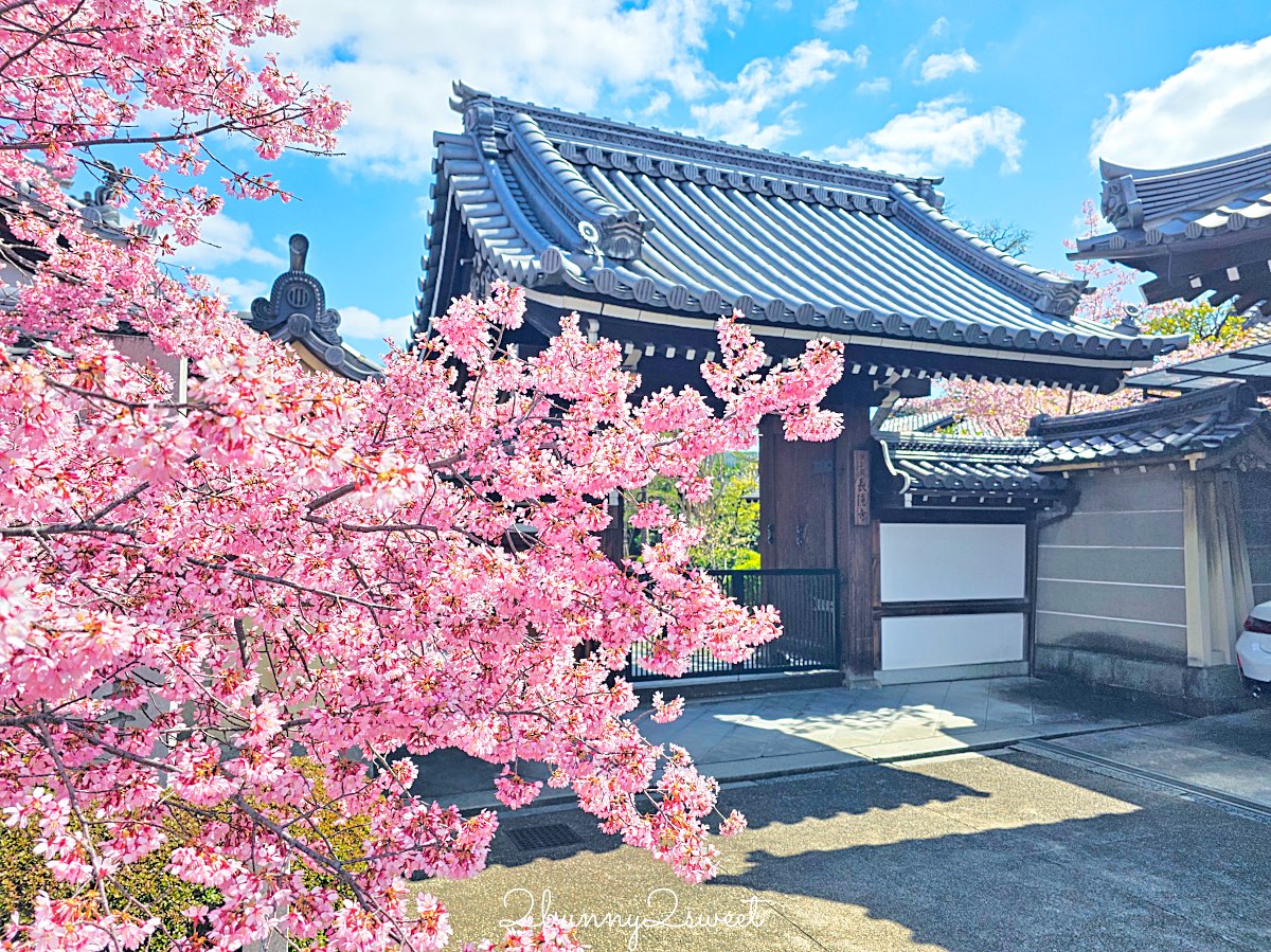 【京都下鴨神社】世界遺產賀茂御祖神社、糺之森散步、河合神社美人祈願與人氣刺繡御守 @兔兒毛毛姊妹花