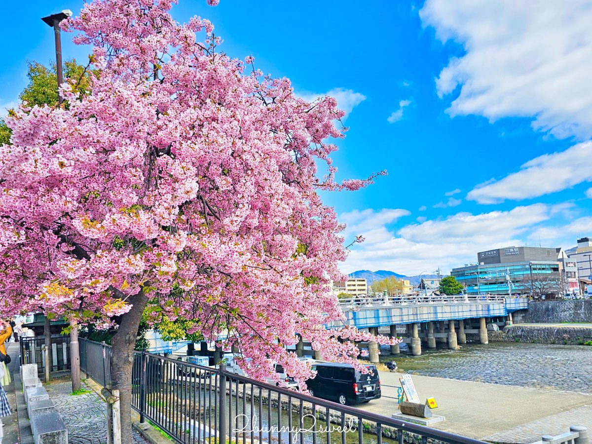 【京都早櫻景點懶人包】不用等櫻花季！6個京都2月～3月初就能看到早開櫻花的賞櫻景點推薦 @兔兒毛毛姊妹花