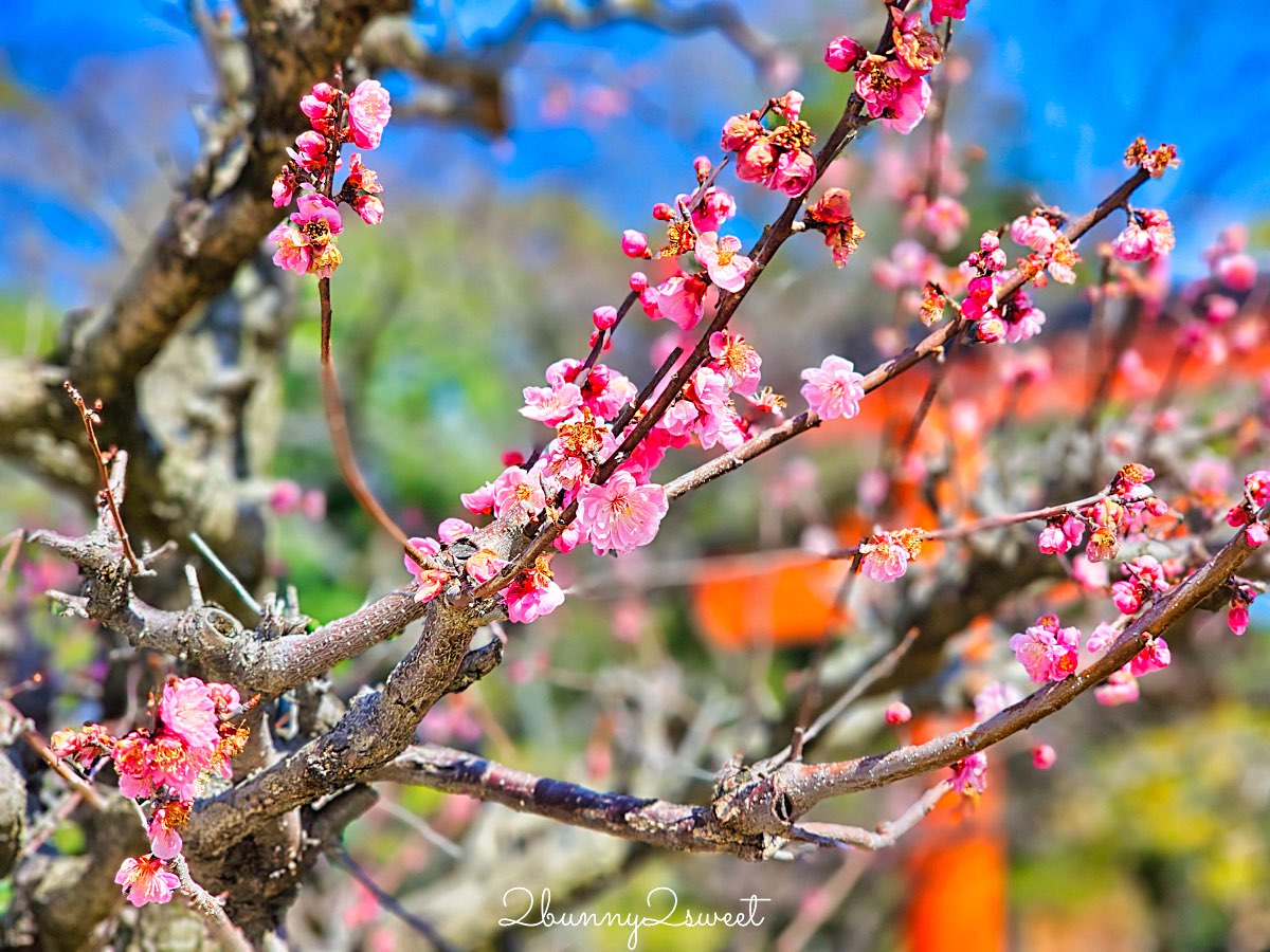 【京都下鴨神社】世界遺產賀茂御祖神社、糺之森散步、河合神社美人祈願與人氣刺繡御守 @兔兒毛毛姊妹花 【京都下鴨神社】世界遺產賀茂御祖神社、糺之森散步、河合神社美人祈願與人氣刺繡御守 @兔兒毛毛姊妹花