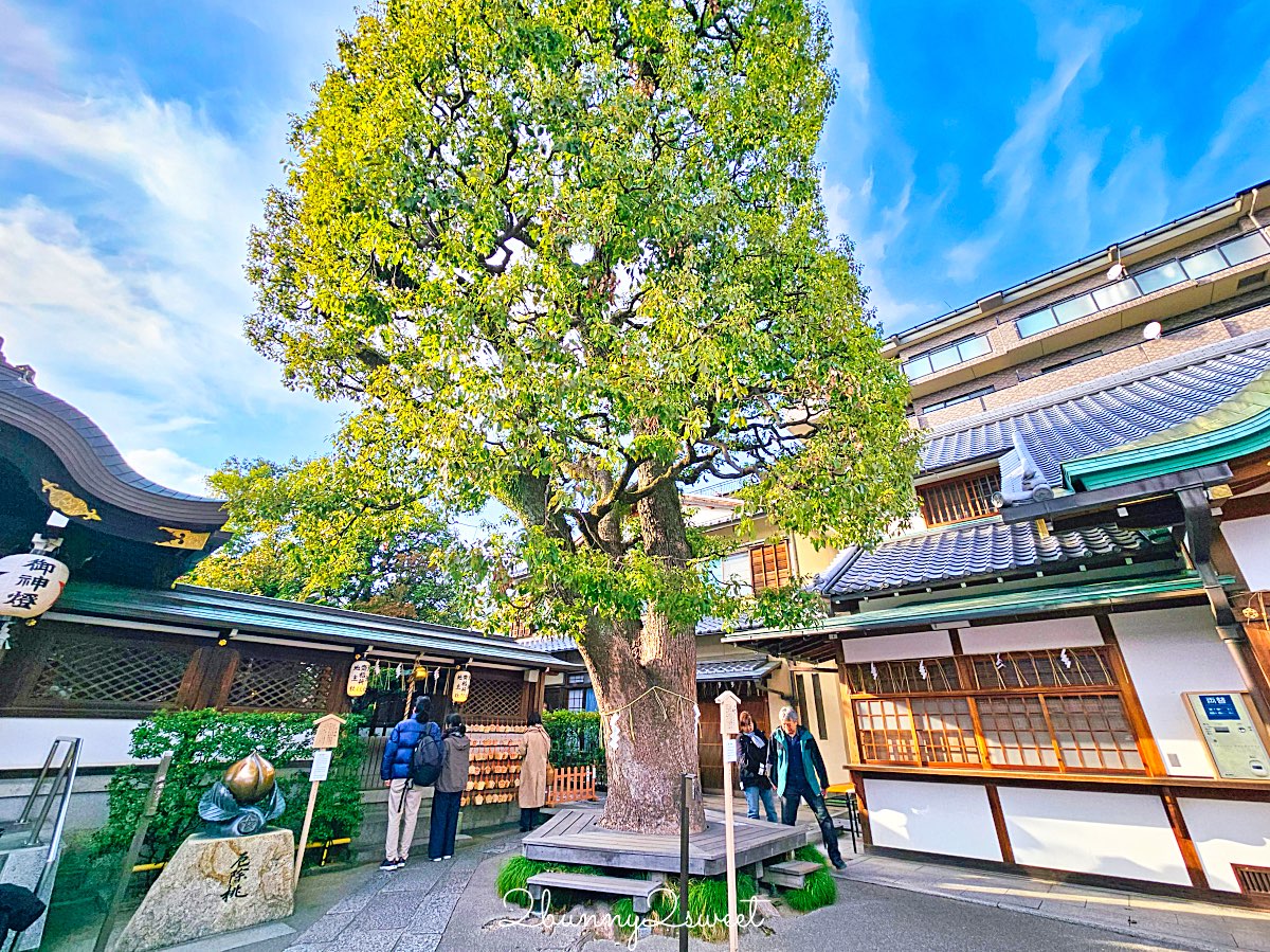 【京都晴明神社一条戻橋】陰陽師神社、河津櫻早櫻景點、五芒星御守與櫻花御守一次看 @兔兒毛毛姊妹花 【京都晴明神社一条戻橋】陰陽師神社、河津櫻早櫻景點、五芒星御守與櫻花御守一次看 @兔兒毛毛姊妹花
