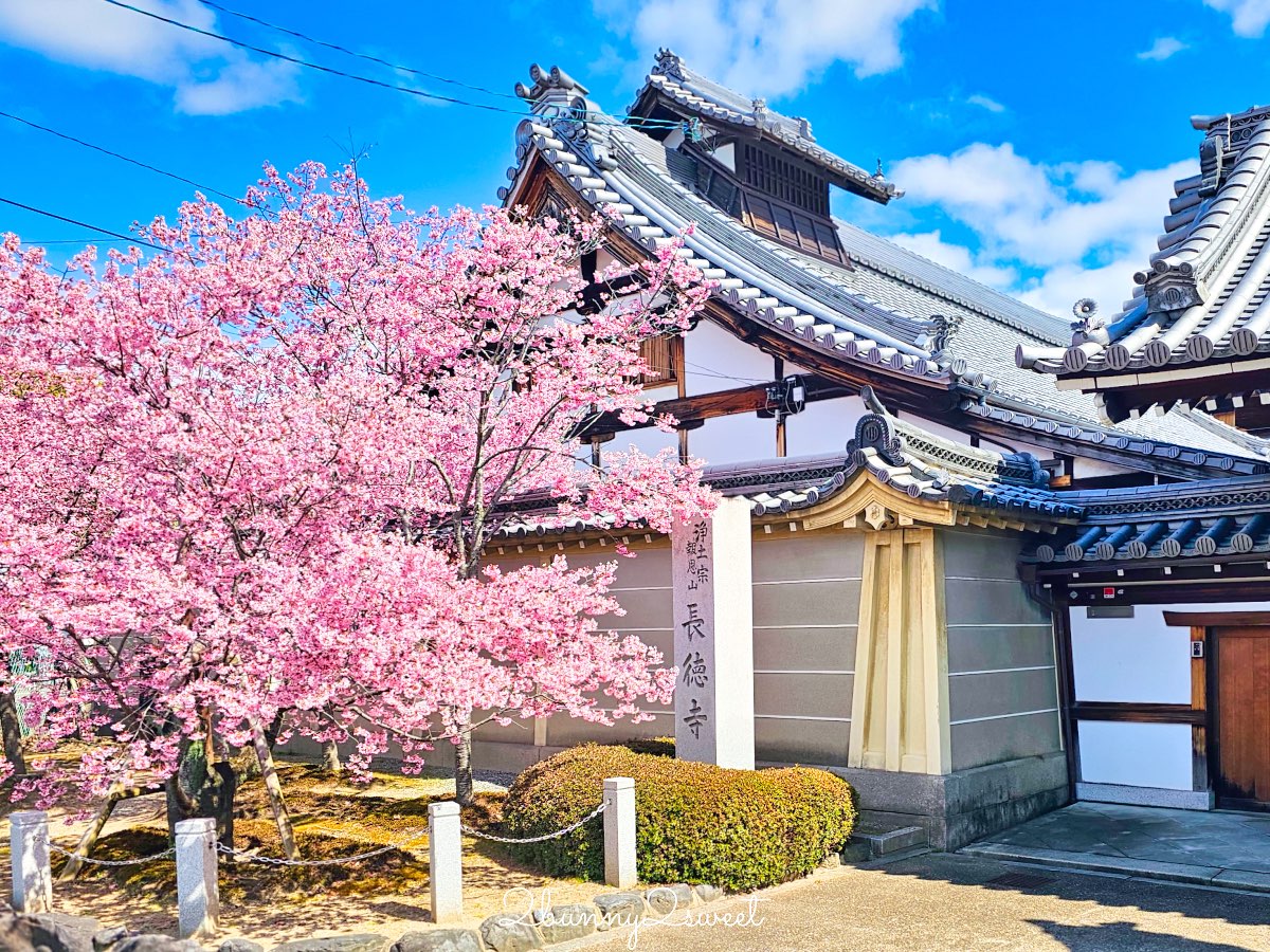 【京都早櫻景點懶人包】不用等櫻花季！6個京都2月～3月初就能看到早開櫻花的賞櫻景點推薦 @兔兒毛毛姊妹花