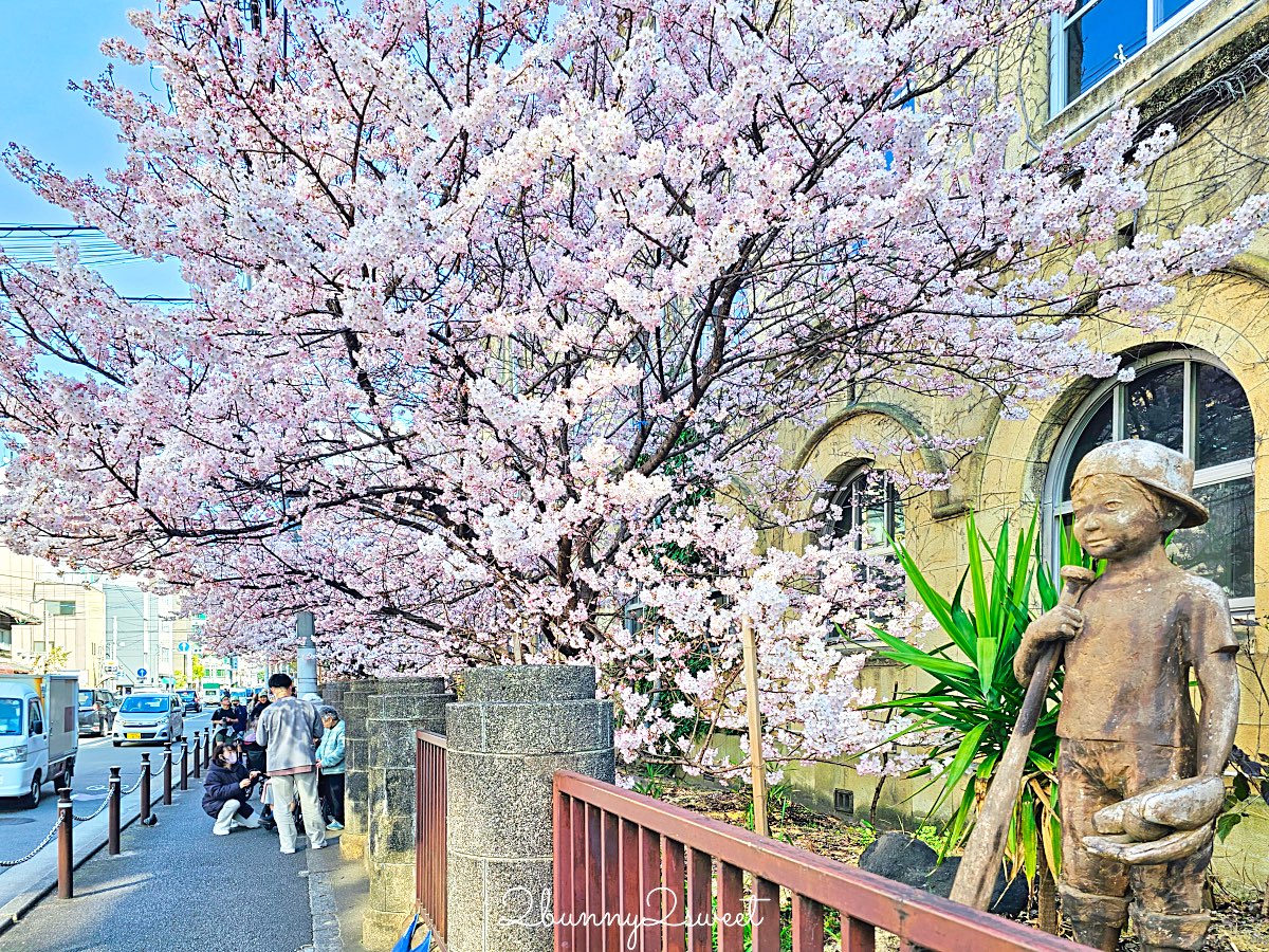 【京都早櫻景點懶人包】不用等櫻花季！6個京都2月～3月初就能看到早開櫻花的賞櫻景點推薦 @兔兒毛毛姊妹花