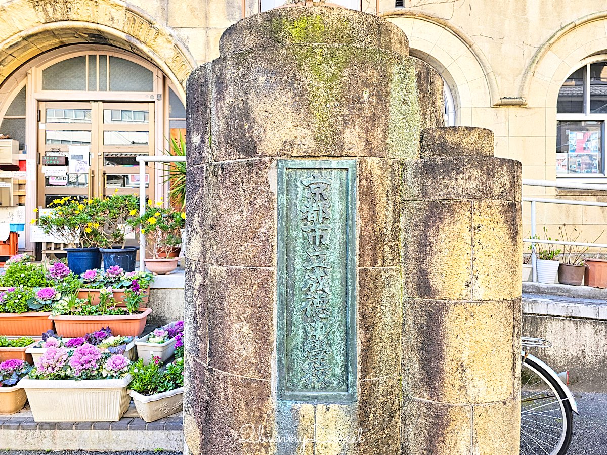 【舊成徳中學校足柄櫻】京都早櫻秘境！老校舍＋整排粉色櫻花隧道，三月中就滿開 @兔兒毛毛姊妹花