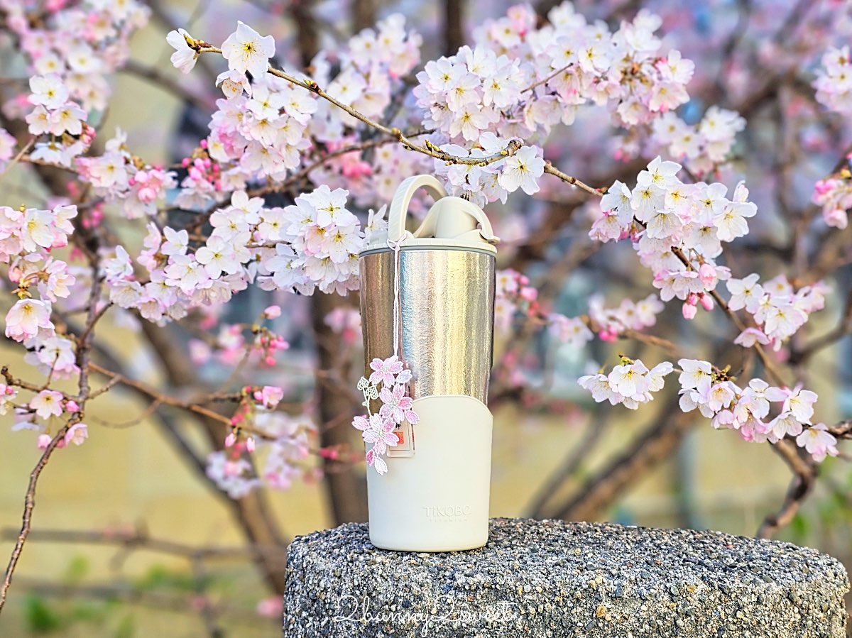 【舊成徳中學校足柄櫻】京都早櫻秘境！老校舍＋整排粉色櫻花隧道，三月中就滿開 @兔兒毛毛姊妹花