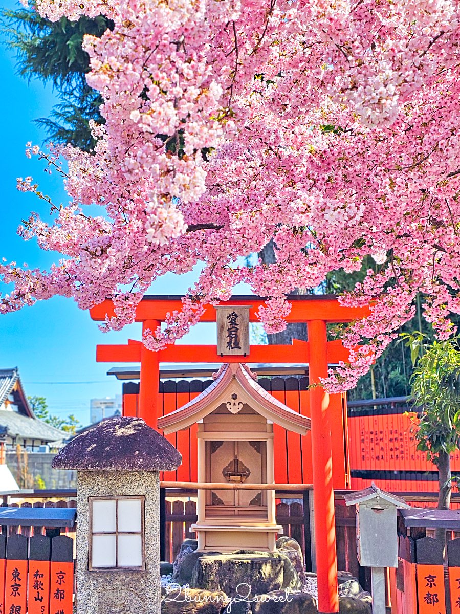 【京都車折神社】藝能神社+早櫻秘境!從二月底一路賞櫻到四月,嵐山旁必訪神社 @兔兒毛毛姊妹花 【京都車折神社】藝能神社+早櫻秘境!從二月底一路賞櫻到四月,嵐山旁必訪神社 @兔兒毛毛姊妹花