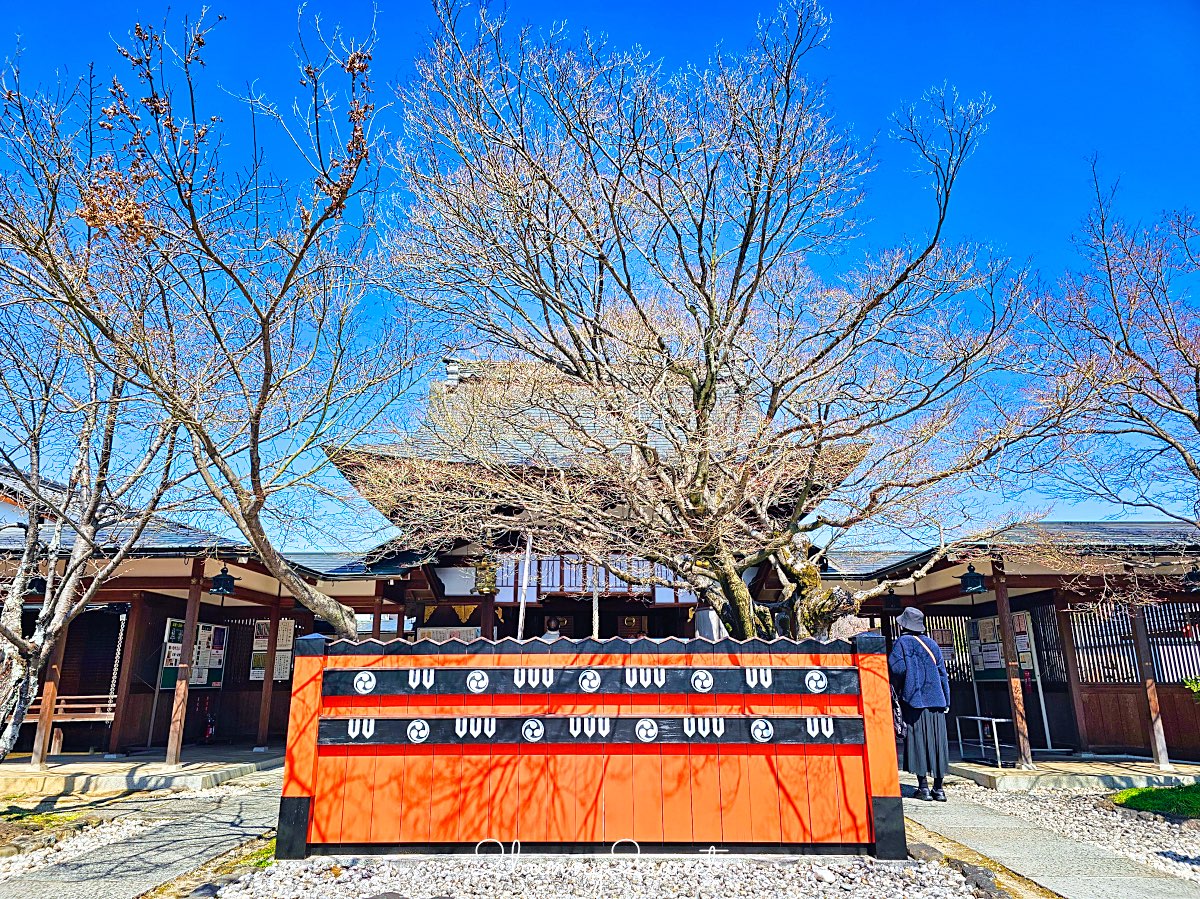 【京都車折神社】藝能神社+早櫻秘境!從二月底一路賞櫻到四月,嵐山旁必訪神社 @兔兒毛毛姊妹花 【京都車折神社】藝能神社+早櫻秘境!從二月底一路賞櫻到四月,嵐山旁必訪神社 @兔兒毛毛姊妹花