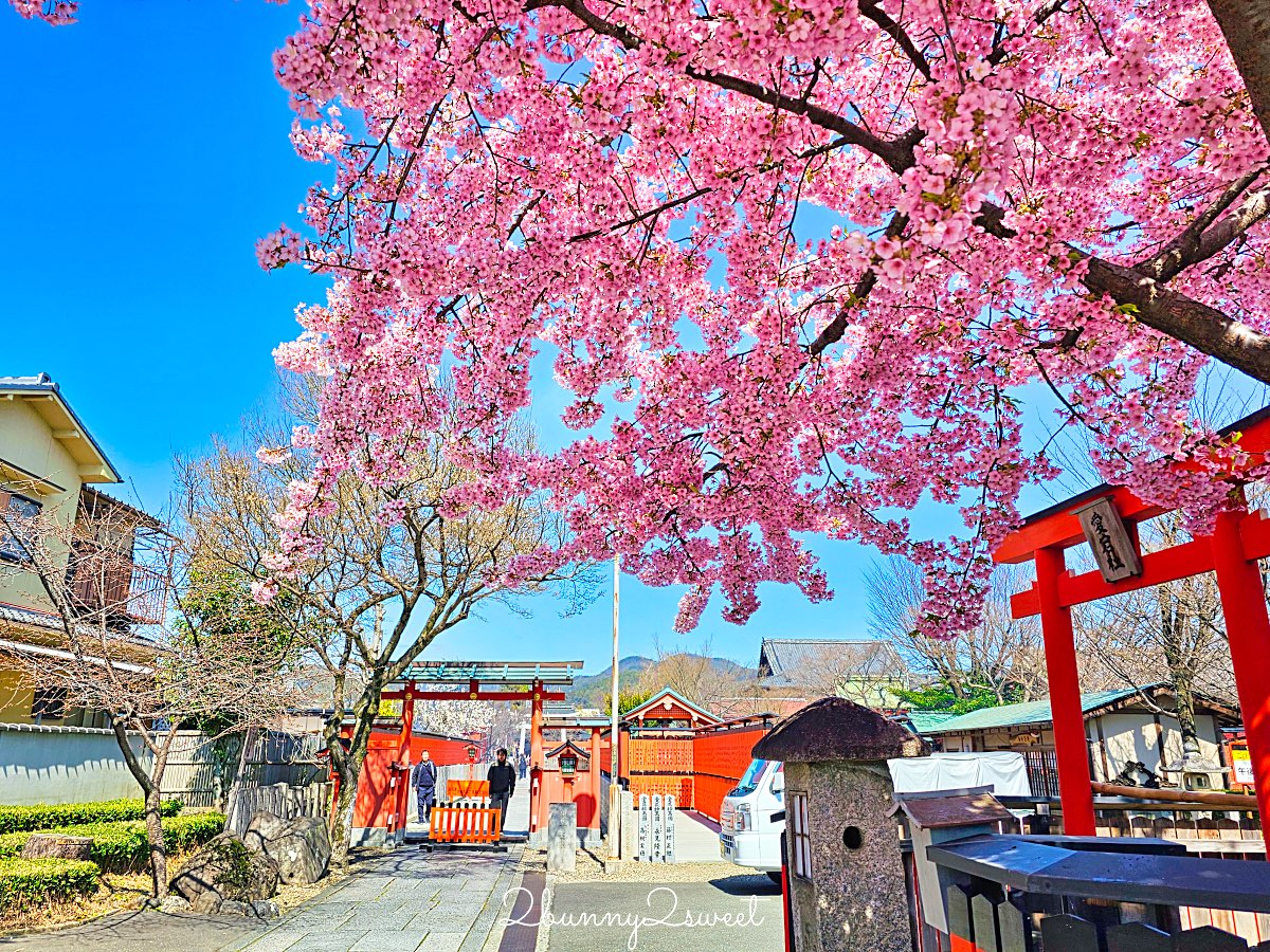【京都車折神社】藝能神社+早櫻秘境!從二月底一路賞櫻到四月,嵐山旁必訪神社 @兔兒毛毛姊妹花 【京都車折神社】藝能神社+早櫻秘境!從二月底一路賞櫻到四月,嵐山旁必訪神社 @兔兒毛毛姊妹花
