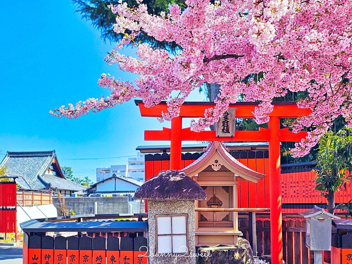 【京都車折神社】藝能神社＋早櫻秘境！從二月底一路賞櫻到四月，嵐山旁必訪神社 @兔兒毛毛姊妹花